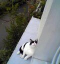 2005022204