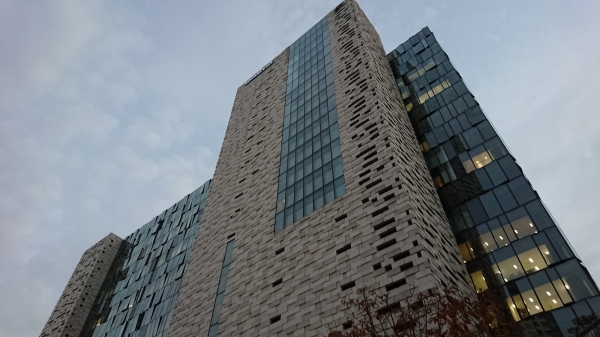 DSC_1146