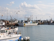 5d27cf12.jpg