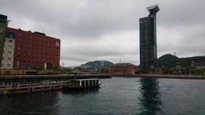 DSC_2233