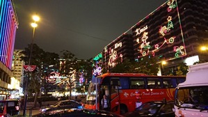 DSC_1987