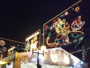 CIMG0711