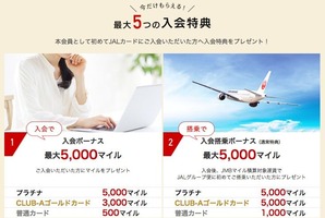 JAL AMEX Special1