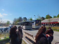 DSCF0750