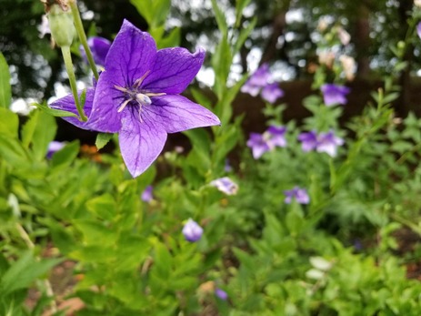 20170814_165951_R