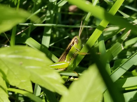 20170825_142411_R