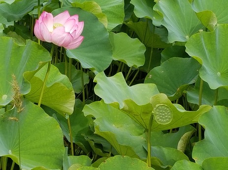20180827_145140