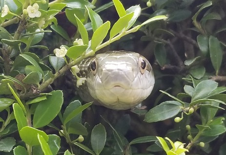 20170624_092141