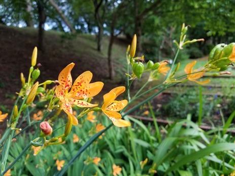 20170814_170010_R