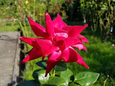 20180915_145532_R