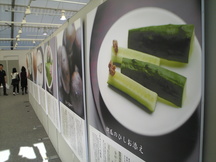 Image3749