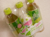 生茶パンダ先生ボトルセット