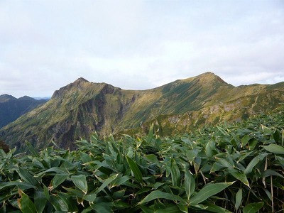 P1050344