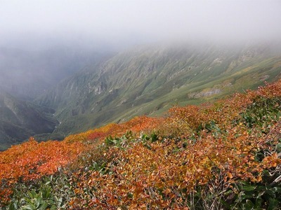 P1050413