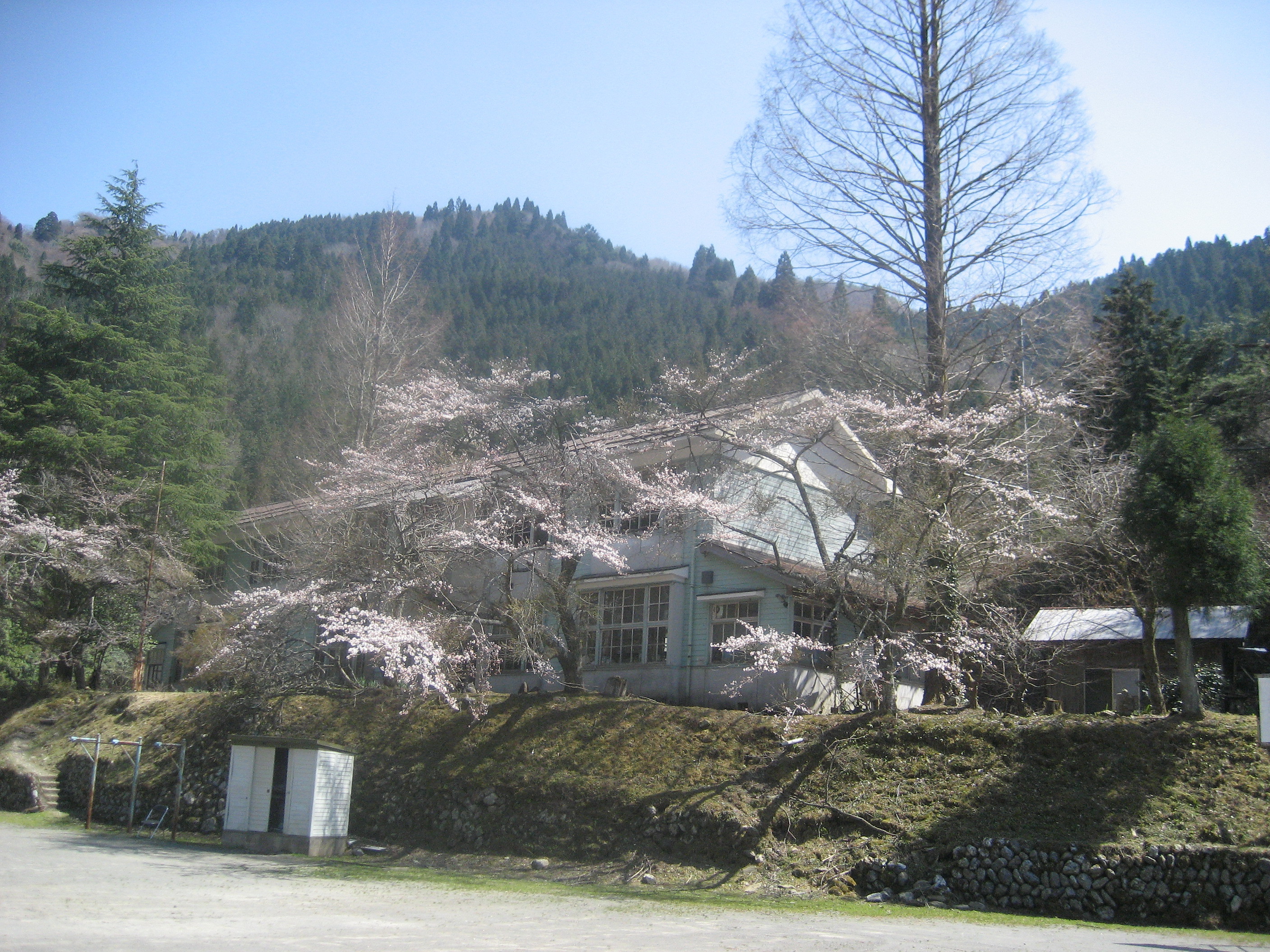 ����Τʬ���˺��餤�ƽդ�