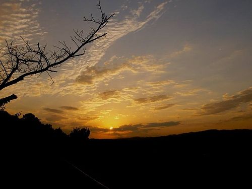 秋の暮早まりて暮の秋」 : ふらり道草―季節の往来―