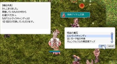エルヴィラ交換2