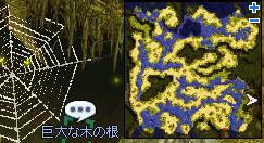 巨大な木の根