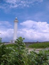 92d48d8d.JPG