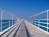 c4533d3c.JPG