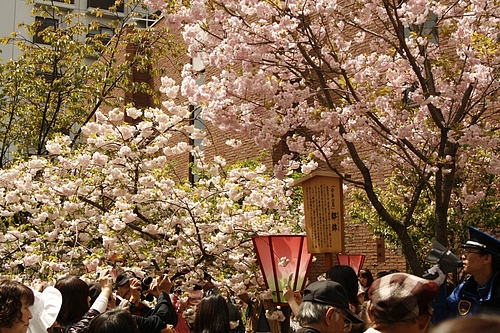 通り抜け
