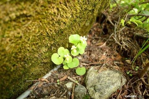 210956DSC_0985