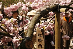 通り抜け