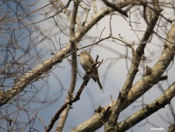 IMG_2698