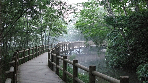 大正池