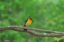 IMG_6343