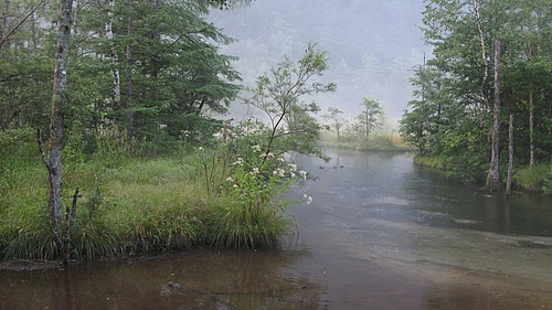 田代池