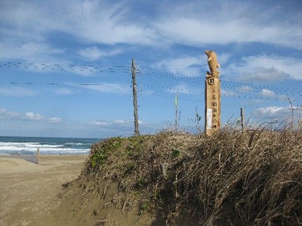 mokuzou3