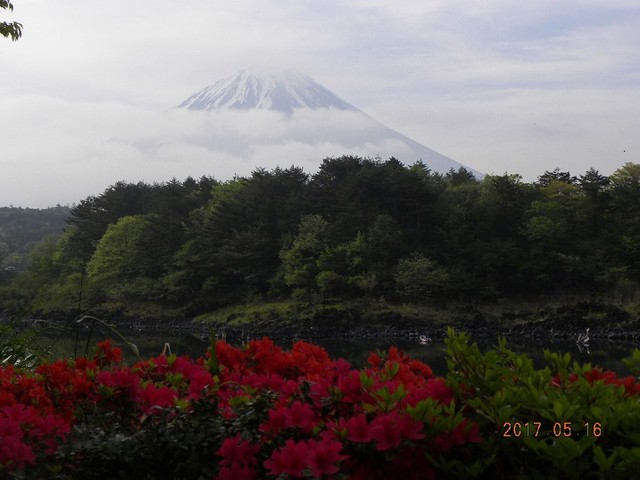 170517-2fuji16Æüʬ