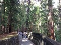 IMG_3608