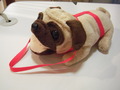 DSCF0952