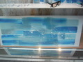 DSCF0747