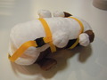 DSCF0947