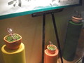 DSCF0205