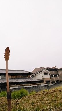 tukushi2