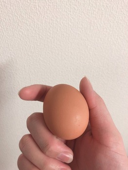 腹減ったからタマゴトースト作るで(※画像あり)