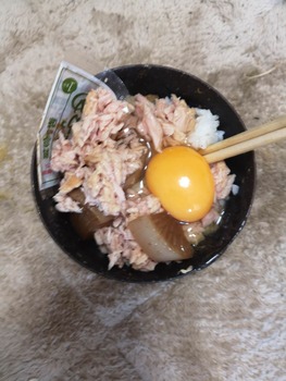 【雑すぎ・・・】女子大生です!自炊してみました!!☺!今日の昼ご飯は何点ですか??(※画像あり)
