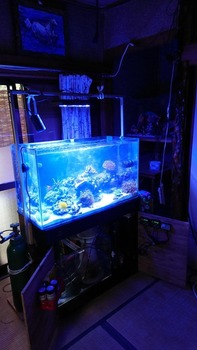 【凄い】水槽の台完成したwww(※画像あり)