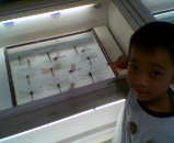 072721dc.jpg