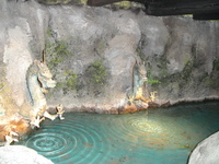 DSC02108