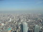 DSC01993