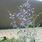 20050324_1201_0000.jpg
