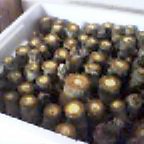 20050303_1013_0000.jpg