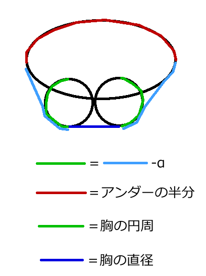 計算 胸 サイズ バストサイズ正しい測り方・カップ選び方・胸の大きさ平均値まとめ【正しいブラジャーの選び方も】