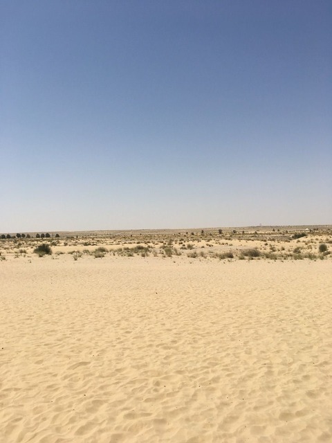 2aab96dd