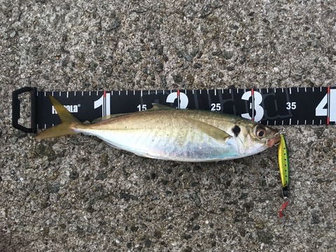 FullSizeRender